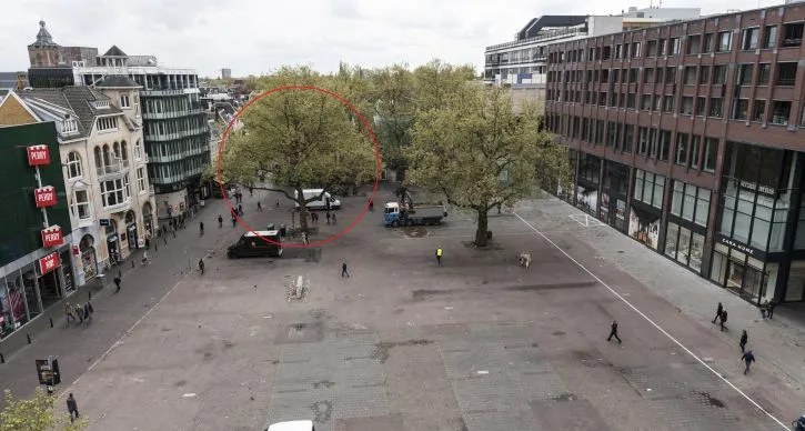 vredenburgplein zieke boom