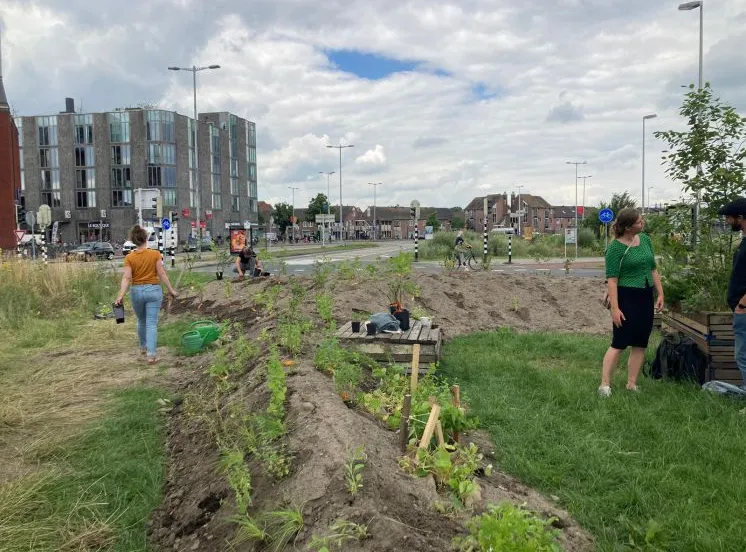 wilde bloemenweide westplein