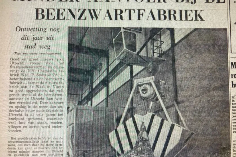 verdwijnen beenzwartfabriek