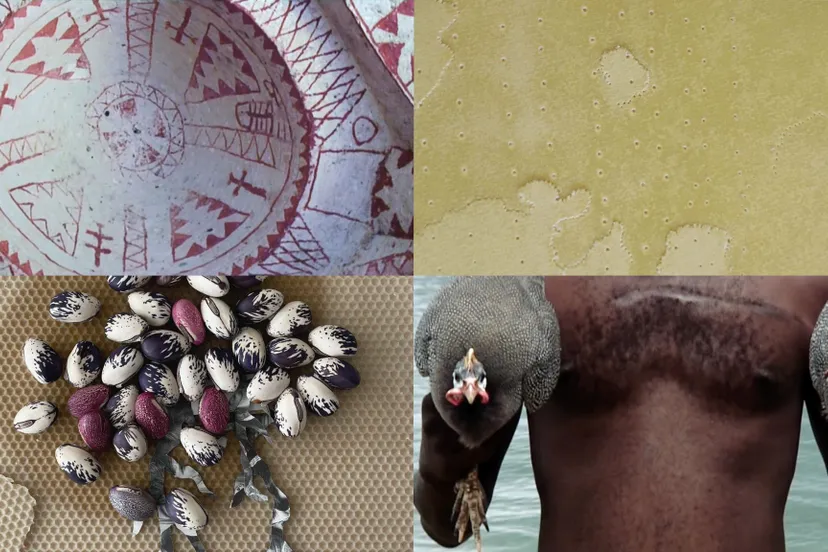 among houses and the cosmosjpg