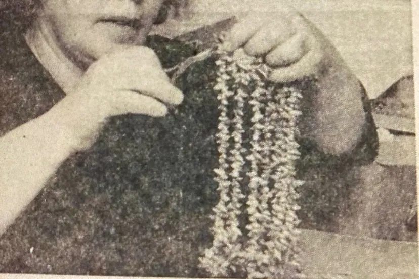 mevr kuiper duikboot