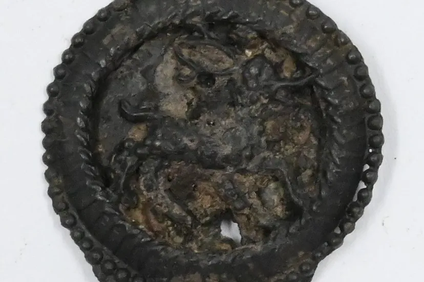 pelgrimsinsigne neude