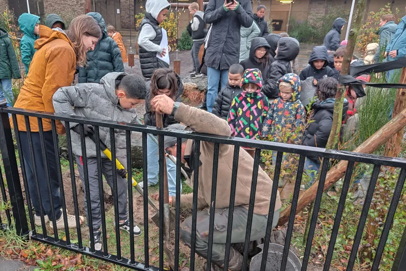vergroenen schoolplein kindcentrum leeuwensteyn