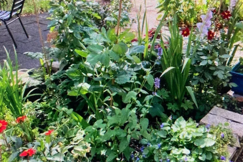 binnentuin fraterhuis