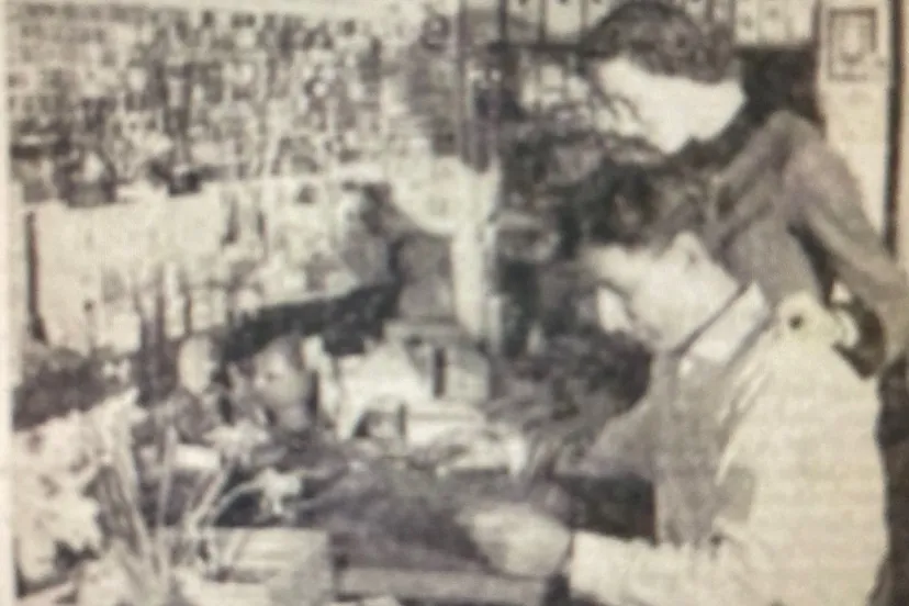 verzamelaar lucifermerken