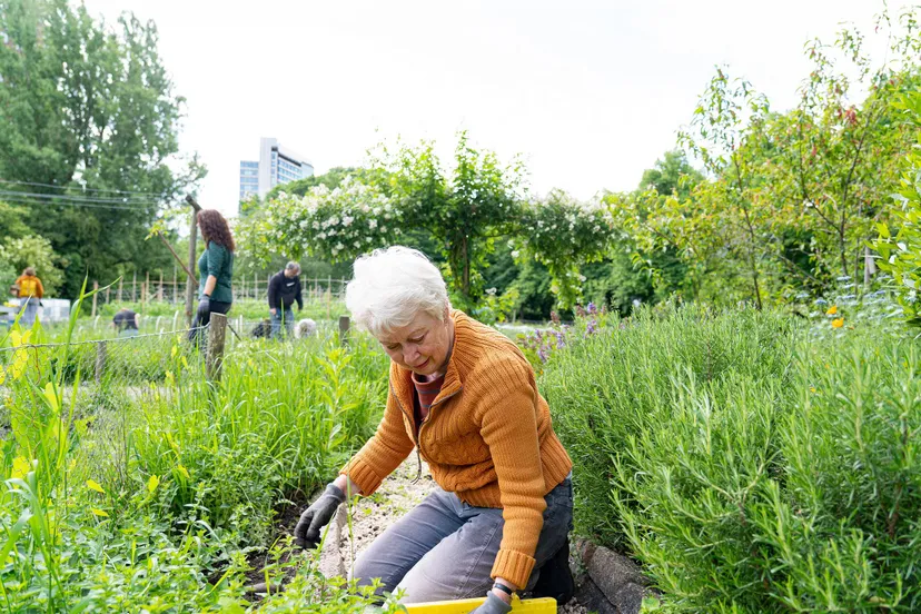 dame werkt in tuin