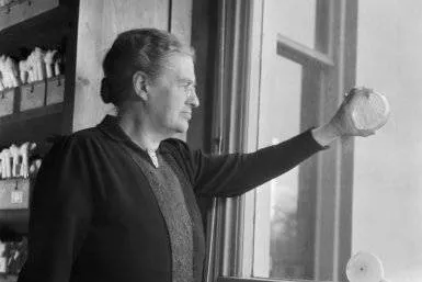 johanna westerdijk 0