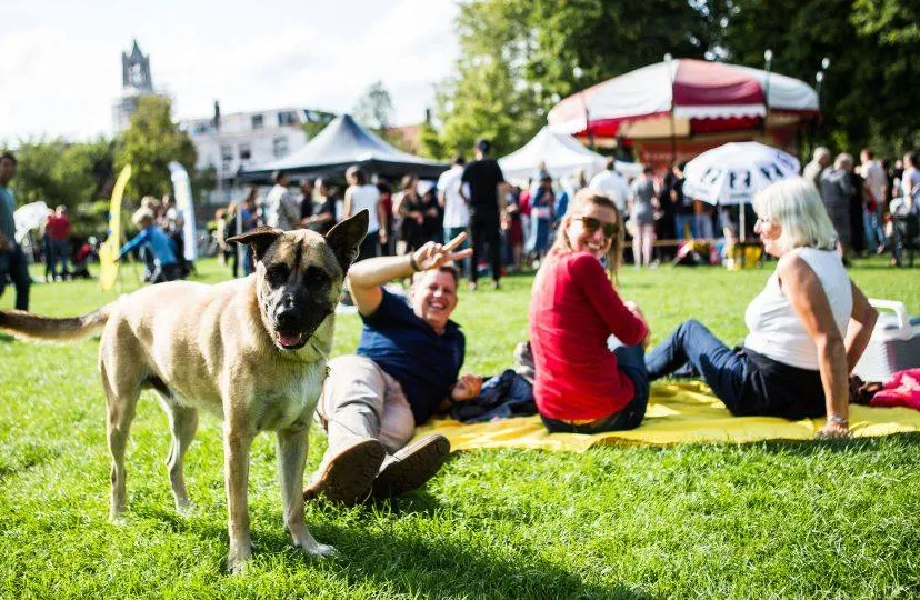 a lazy sunday afternoon