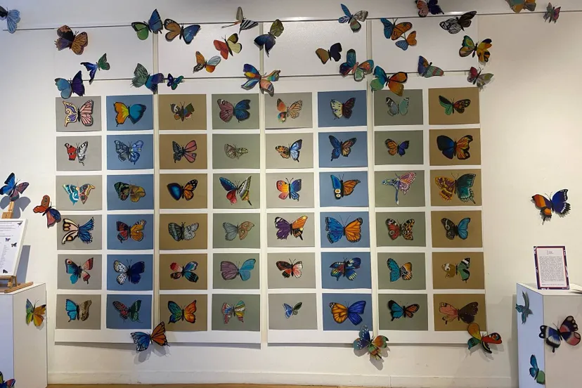 expositie democratie030