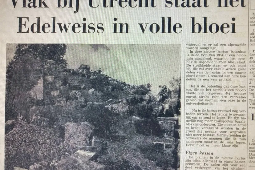 aanleg hortus botanicus