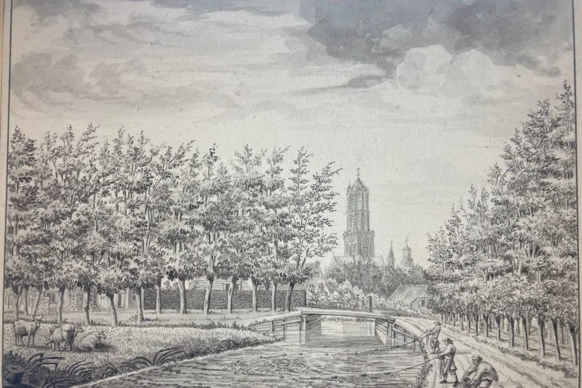 dirk verrijk biltstraat