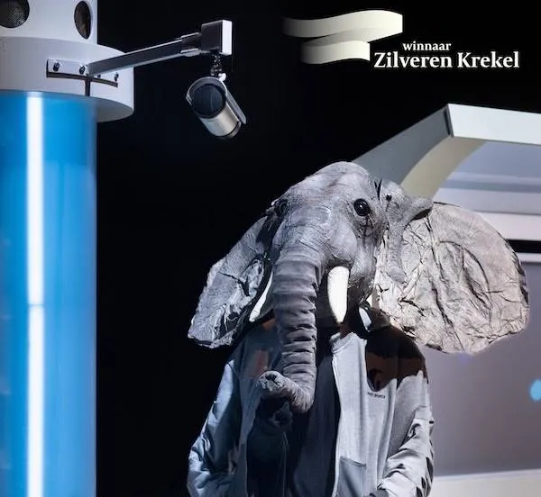 olifant bij de bushalte