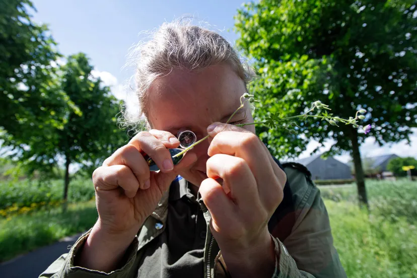1000soortendag Haarzuilens