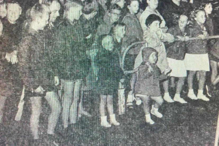 Zomerfeest Wilhelminapark