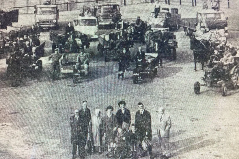 actie schillenophalers