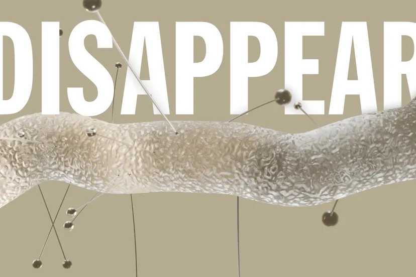 Disappear