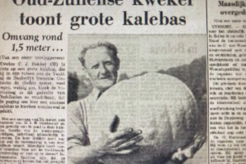 een grote kalebas