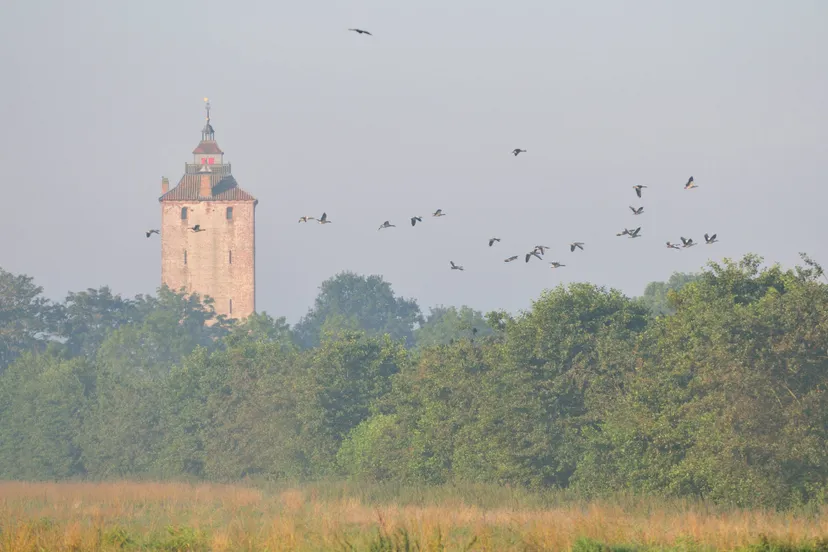 landgoed Haarzuilens