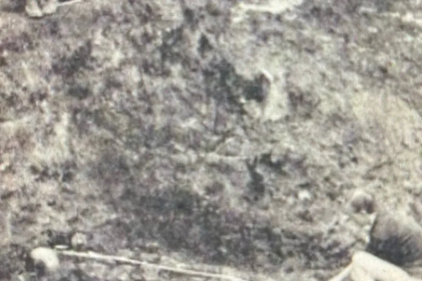 opgraving Korte Nieuwstraat