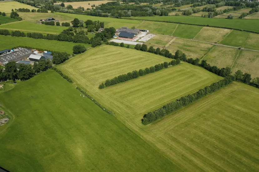 Gelderse-Vallei-elzensingel
