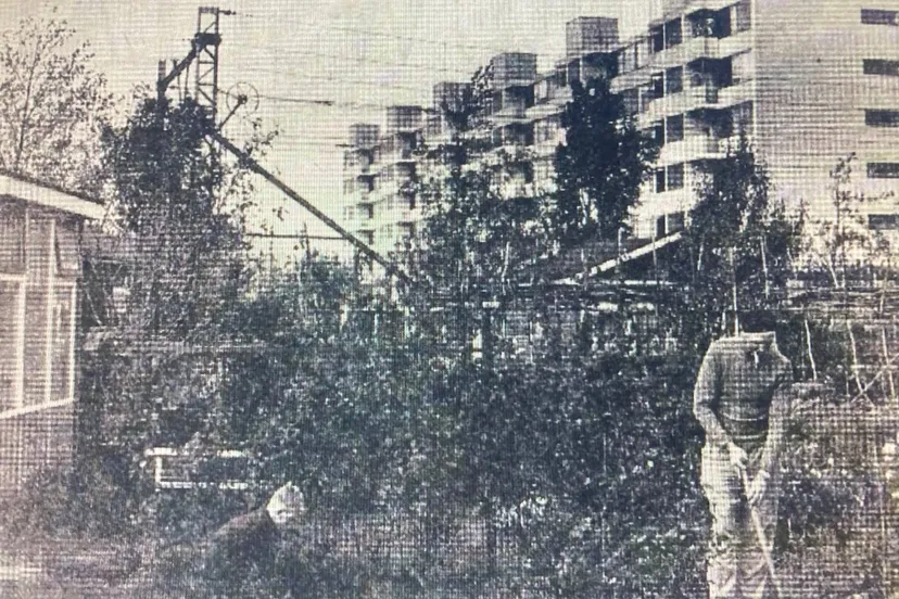 volkstuin Tuindorp-oost