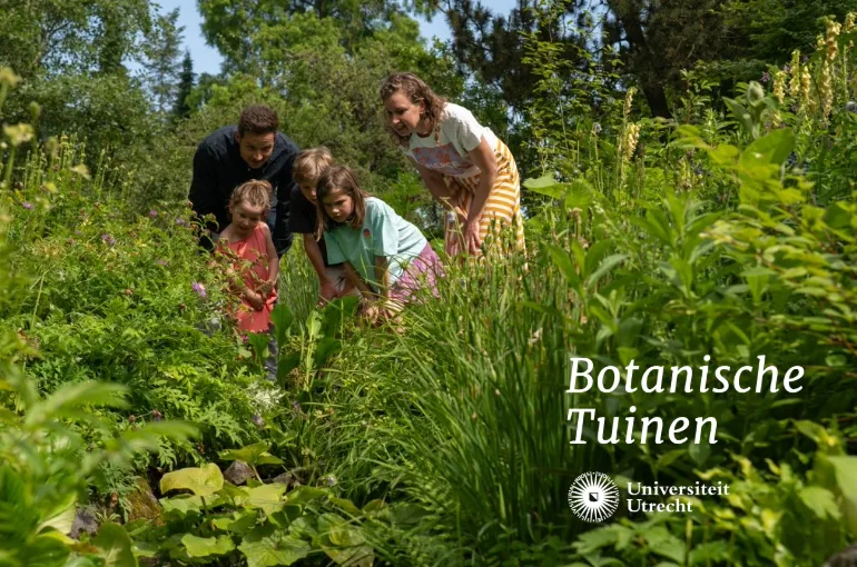 Botanische Tuinen