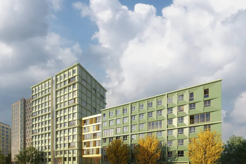 Kwekerij fase 4 Ginkgo