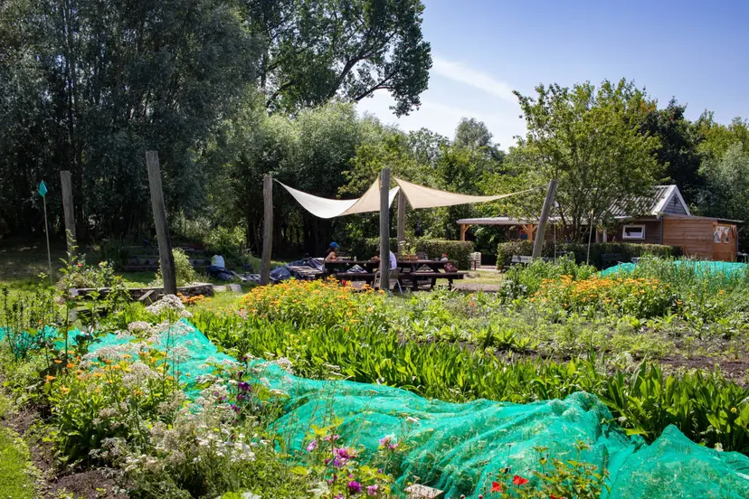zelfoogsttuin Koppelsteede