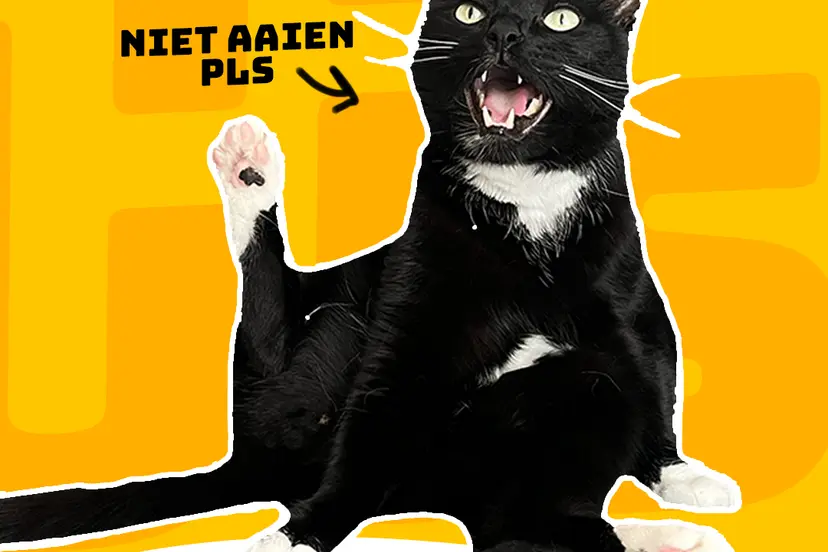 comedyhuis