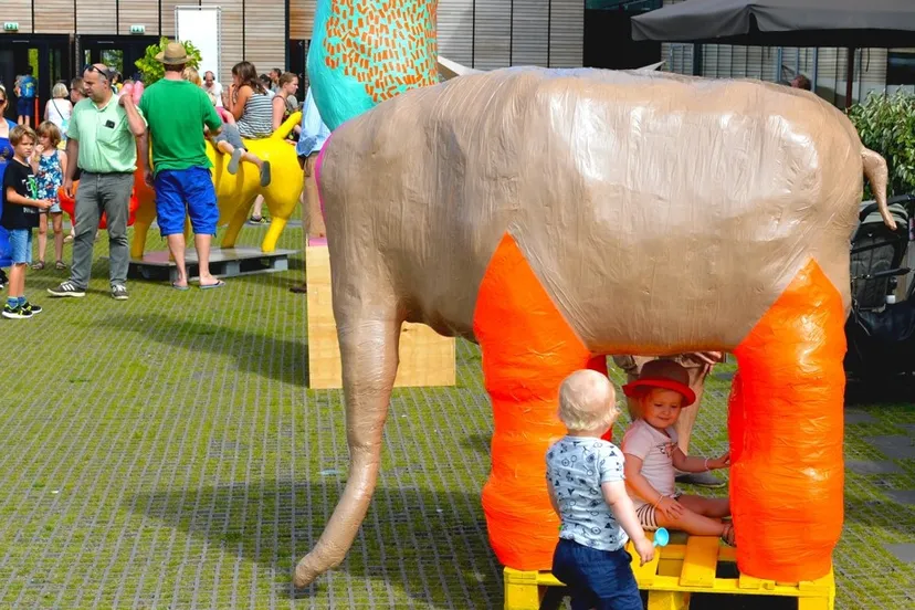 0904 olifant chantal de wolde