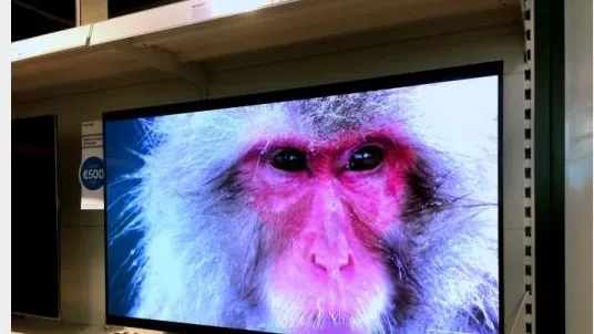 28c7bbb2 2310 419c 971a 75961947d363