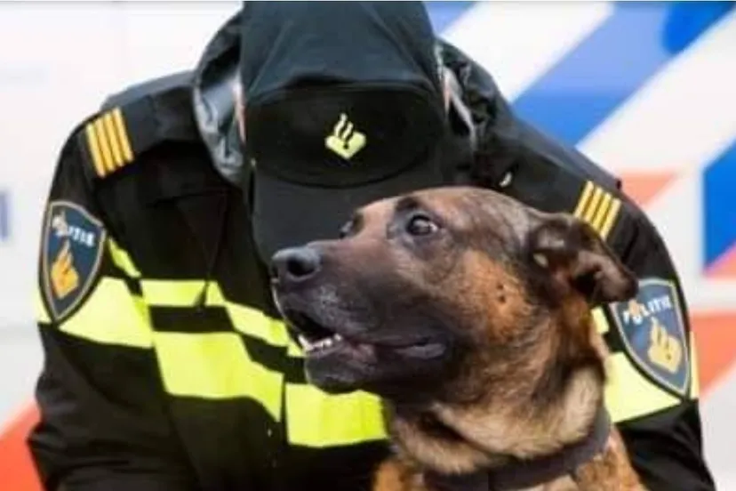 310326248 428322856108707 8665805027942041541 n