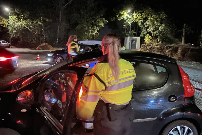 311133439 437467615194231 5682532934615519801 n