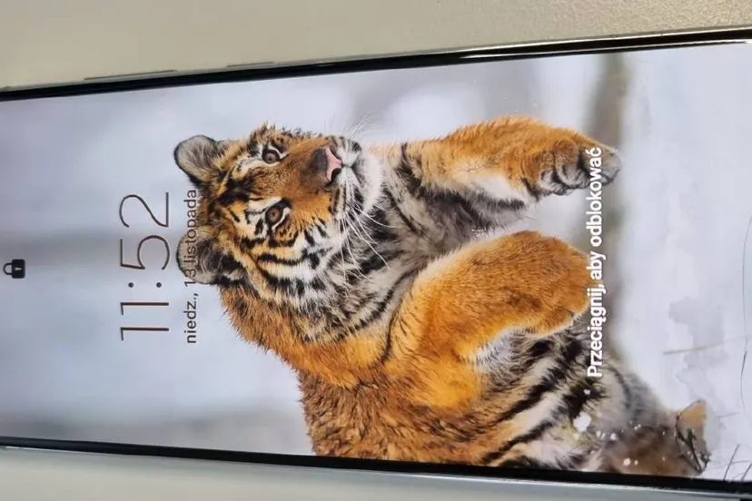 330979274 5846678292119178 5807652860897332979 n