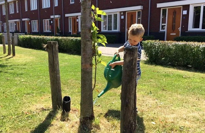 37325958 2026123520739358 2254316037455478784 n