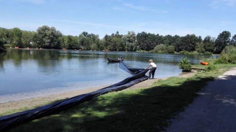 38630425 2061098057241904 5088565110704701440 n