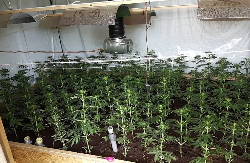 39254944 1278871762254606 2851460884105003008 n