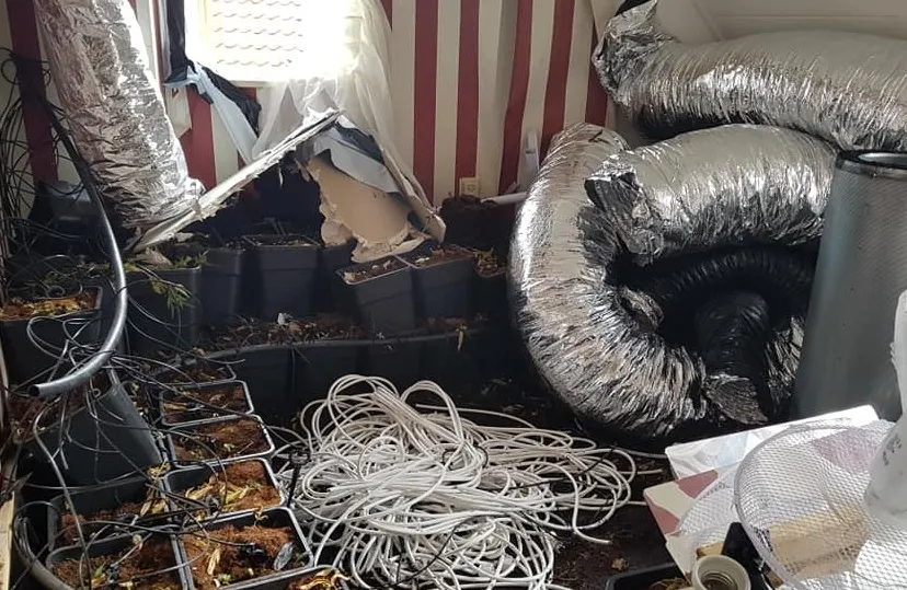 41106080 1298590236949425 8132381911956848640 n