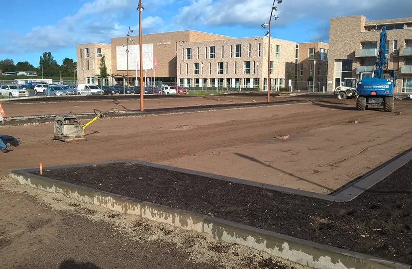 43653353 2150355081649534 2625871334655131648 n