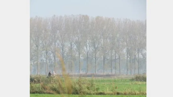 541da48a 8fed 4aa7 aefe 89493dcbf648