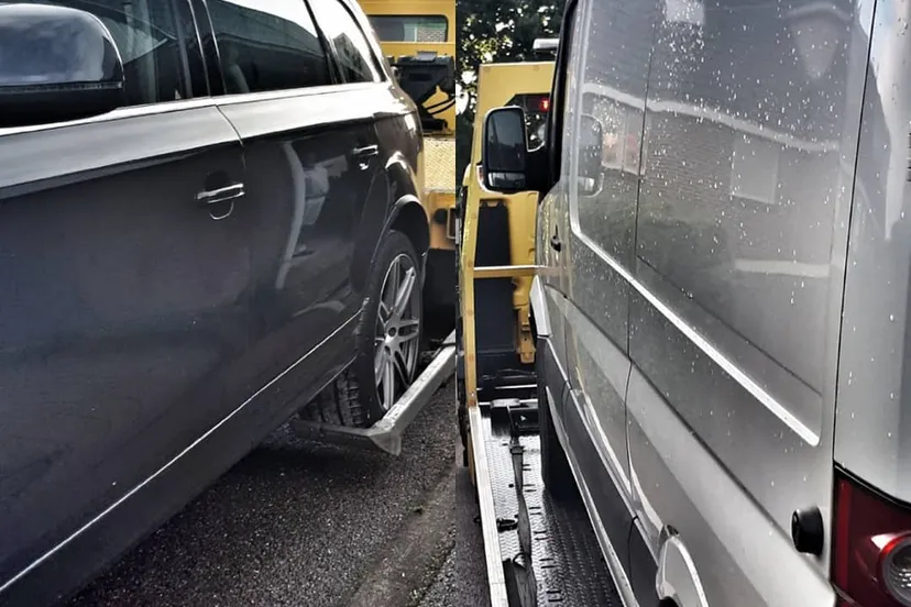 59478035 2311322082522267 4166493553026125618 n