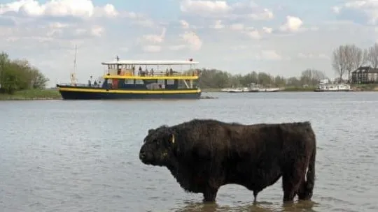 a4e1eb7a c7df 4074 b6f9 f47f6f8e91e0