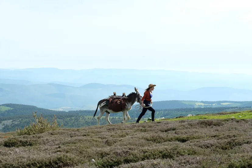 antoinette dans les cevennes en de beentjes