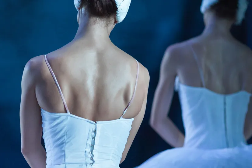 ballet zwanenmeer webbanner vk 2223