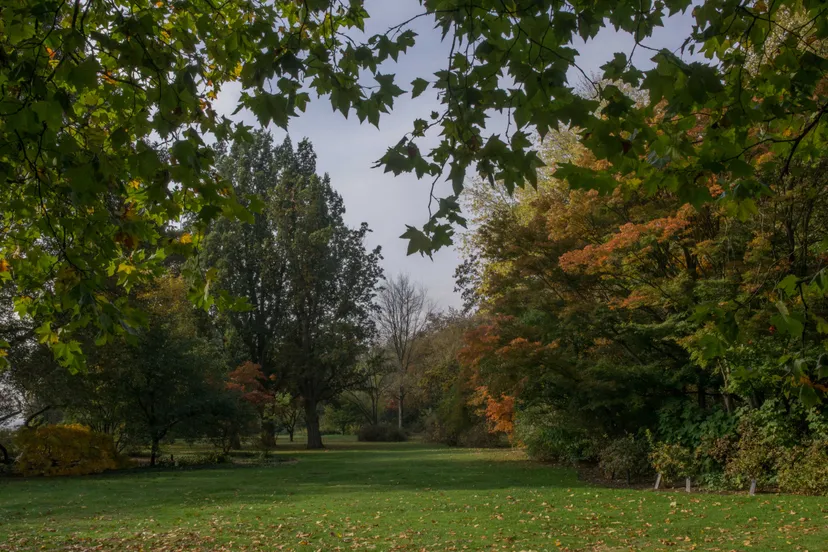 belmonte arboretum 14 002