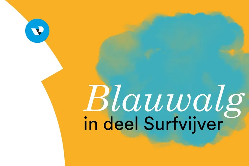 blauwalg