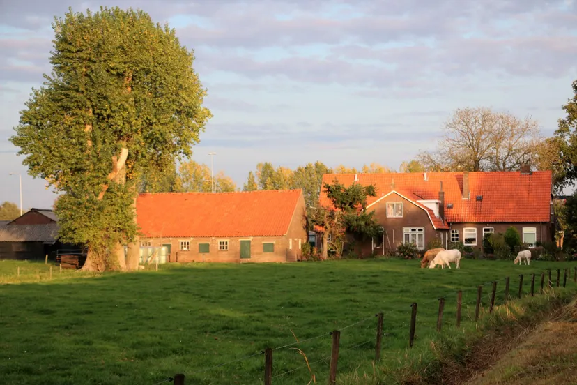 foodvalley platteland maanderbuurtweg 1