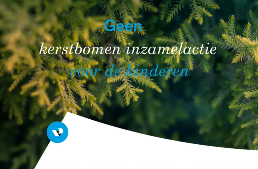 kerstbomen inzamelen