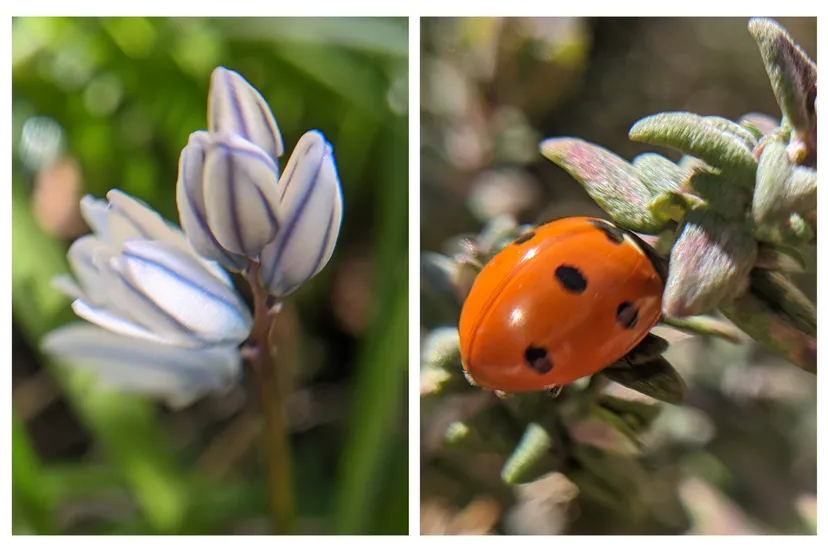 macrofotografie kinderworkshop