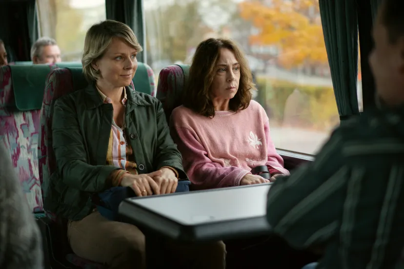 rose photo by martin dam kristensen